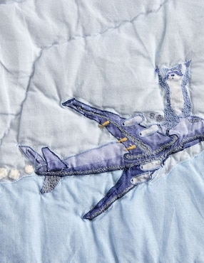 Colcha Airplane Map
