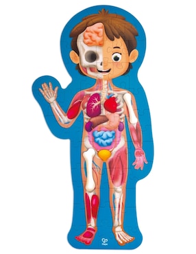 Rompecabezas Cuerpo Humano 61 piezas