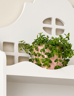 Repisa armable Dollhouse de MDF