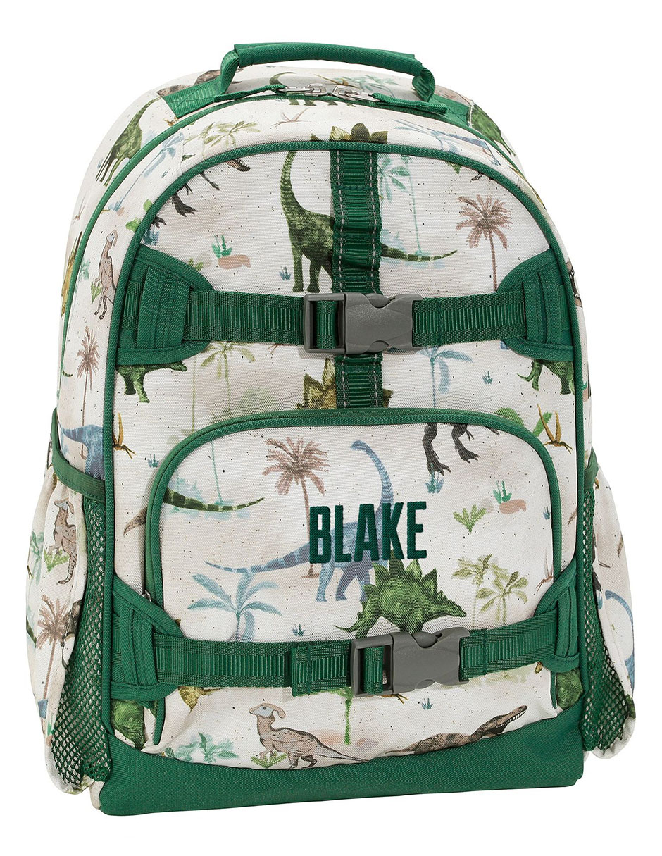 Mochila casual Mackenzie Jurassic Dino unisex Mochila casual Mackenzie Jurassic Dino unisex