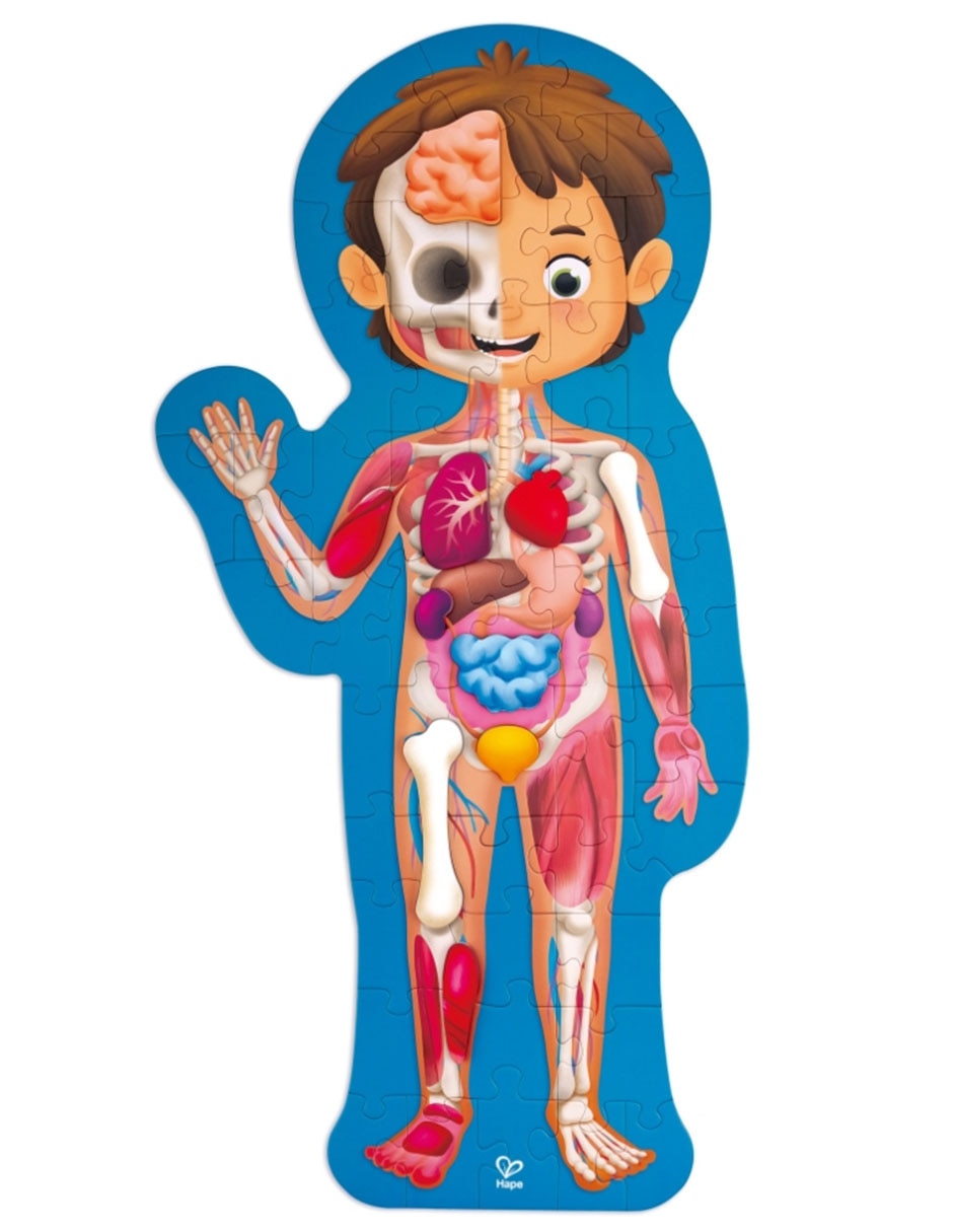 Rompecabezas Cuerpo Humano 61 piezas 2